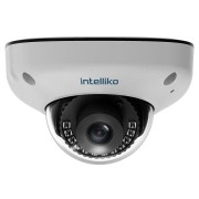 INT-VXDBC30-C01(RM-FA03-DM-A05-A02)(2.1) IP-камера, купольная, 5Мп