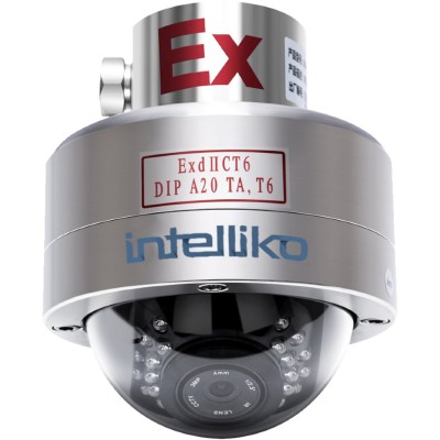 Int-exdc10a-01 взрывозащищенная видеокамера intelliko Int-exdc10a-01 взрывозащищенная видеокамера intelliko